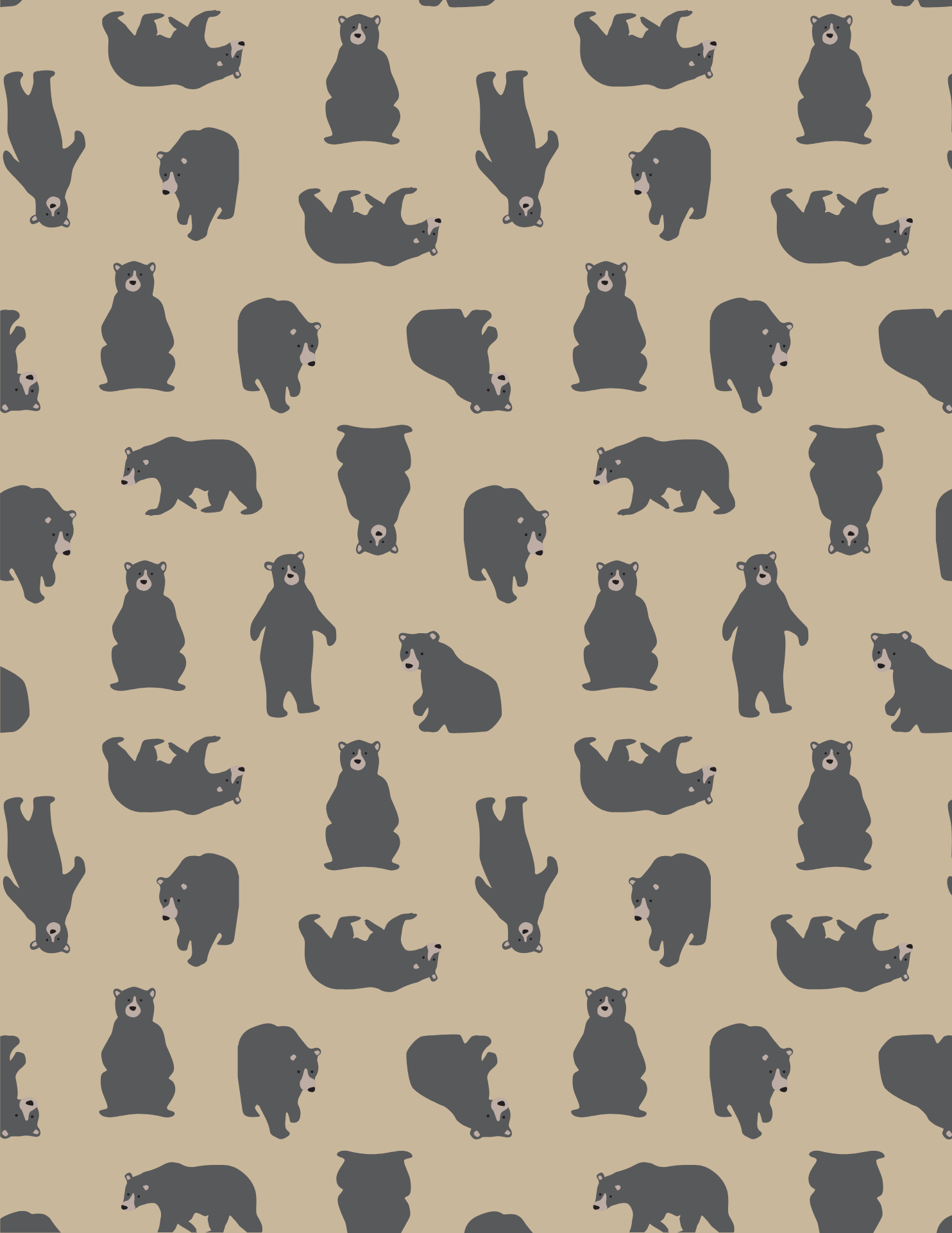 Black Bears