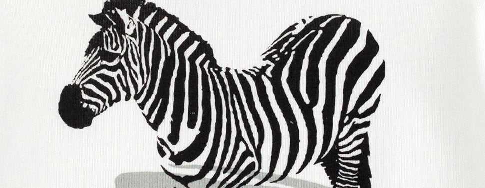 Elephant and Zebra