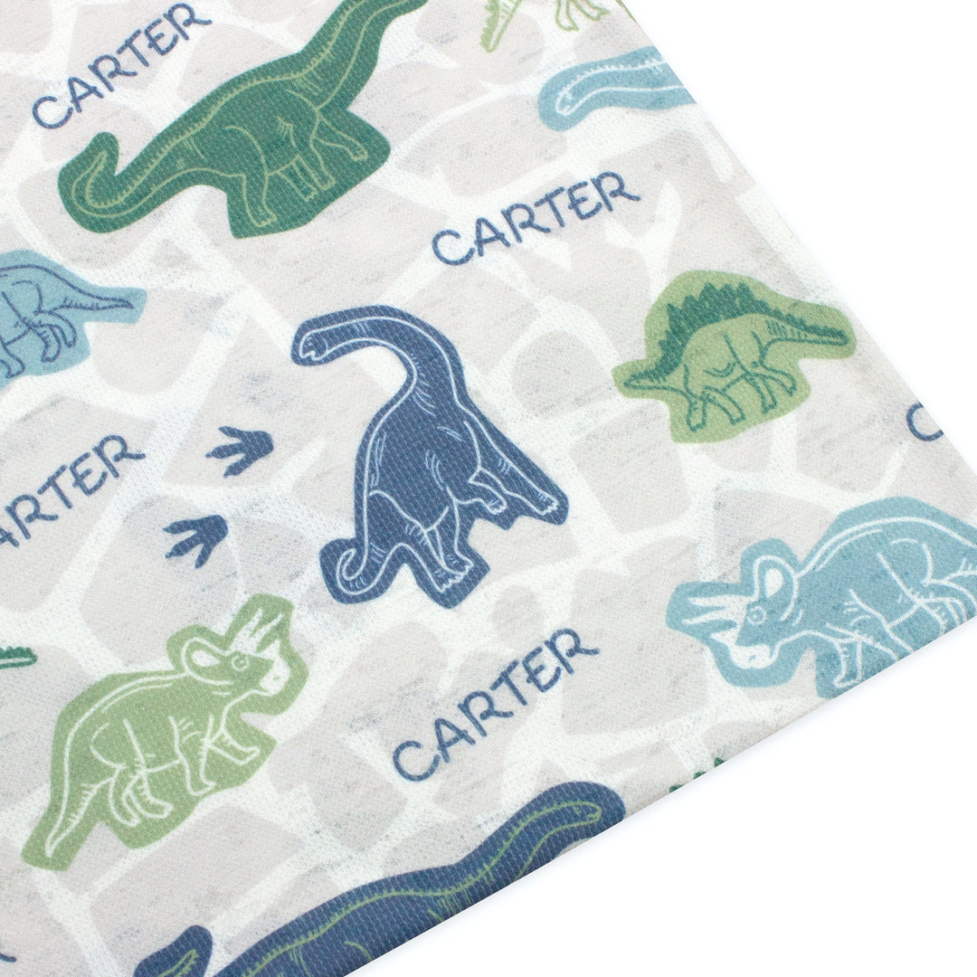 Zutano baby The Keepsake Print Swaddle - Dinosaur